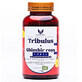 Tribulus 800 and Red Ginger 200 Forte, 1000 mg, 60 capsules, Blue Phoenix