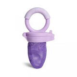 Fresh Feeder feeding device, +6 months, Purple, Munchkin