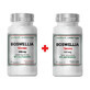 Boswellia Serrata, 500 mg, 60 + 30 vegetarische Kapseln, Cosmopharm