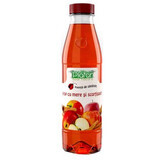 Sirope de manzana y canela sin azúcar, 500 ml, Plafar