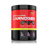 Beta-alanine Carnogen, 300 g, Genius Nutrition