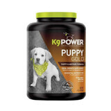 Nutritional supplement for puppies and nursing bitches Puppy and Mother Formula, 454 g, K9Power