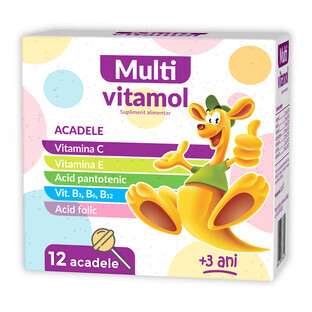 Sucette Multivitamol, 12 pièces, Zdrovit