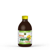 Fir syrup with propolis, 250 ml, Hypericum