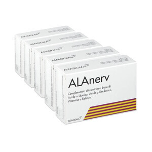 Alanerv
