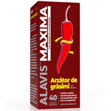 Fat Burner, 40 vegetarian capsules, Alavis Maxima
