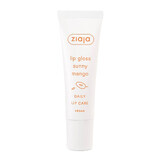 Lip Gloss with Mango Lip Care, 12 ml, Ziaja
