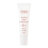 Lip gloss with sweet plum Lip Care, 12 ml, Ziaja