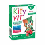 KityVit for respiratory tract x 40 raspberry flavored sucking cpr