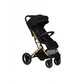 Estelle Dakar sports pushchair for children, Gingko, Momi