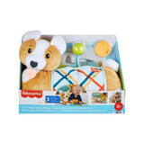 Welpenspielzeug 3 in 1, 0 Monate+, Tummy Wedge, Fisher Price