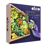 Succulents Wood&amp;Craft creation set, 21 x 21 cm, +12 years, Energy, Okto