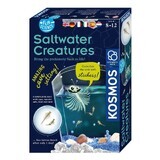 Set educativo Creature d'acqua salata Stelo, +8 anni, Kosmos