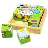 Pet cubes, Bigjigs