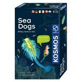 Educational set Marine Animal Stem, +8 years, Kosmos