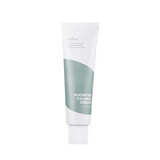 Soothing cream with wormwood extract, 50 ml, Isntree