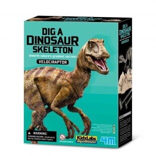 Dinosauro Velociraptor scava e scopri, 8+ anni, 4M