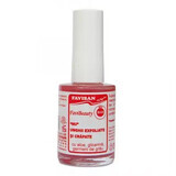 Nail varnish for exfoliated and cracked nails, 14 ml, Favisan