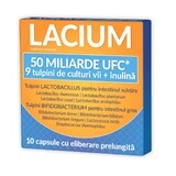 Lacium 50 billion CFU, 10 capsules, Zdrovit