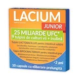 Lacium JUNIOR 25 billion CFU, 10 capsules, Zdrovit