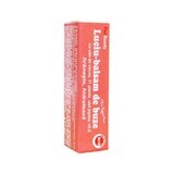 Lip gloss-balm, 4.2 g, Favisan