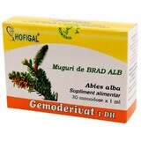 White fir buds Gemoderivat, 30 doses, Hofigal