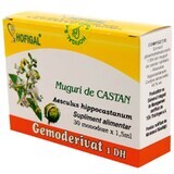 Wild Chestnut Buds, 30 single doses, Hofigal
