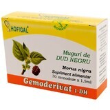 Black Dud Bud Gemoderivat, 30 single doses, Hofigal