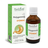 Polygemma 1, Stomach, 50 ml, Plant Extrakt