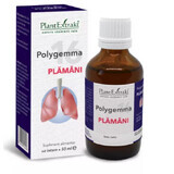 Polygemma 16, Lungs, 50 ml, PlantExtrakt