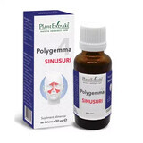 Polygemma 4, Sinuses, 30 ml, Plant Extrakt
