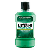 Fresh Burst Mouthwash, 250 ml, Listerine