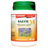 Sage, 40 capsules, Favisan