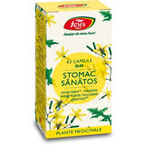 Stomac sănătos, D49, 63 capsules, Fares
