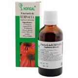 Echinacea tincture, 50 ml, Hofigal