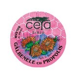 Marigold and propolis ointment, 40 g, Ceta Sibiu
