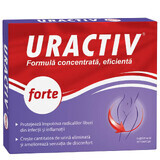 Uractiv forte, 20 gélules, Fiterman Pharma