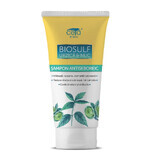 Antiseborrhea shampoo with nettle and walnut, 200 ml, Ceta Sibiu
