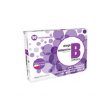 AvetPharma Mega Vitamin B Complex, 50 film-coated tablets