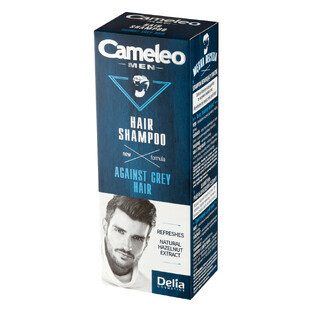 Delia Cameleo Men, shampoo to reduce gray hair, 150 ml