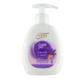 Luxja Care Pro, savon liquide de soin, antibactérien, lavande et gingembre, 250 ml