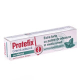 Protefix Extra Forte Pfefferminz-Haftcreme, 40 ml, Queisser Pharma