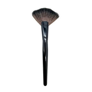 Fan brush for illuminator, Makeup, Fan Brush, Black