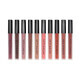 Set mit 10 Lippenstiften, Niceface, Mousse Matte