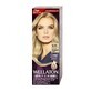 Wellaton Intense Colour Cream 10/81 Ultra Light Grey Blonde