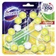 Domestos Power 5 Kalk Toiletbeugels, 3 stuks