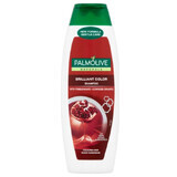 Palmolive, Color Brillante, Champú, 350ml