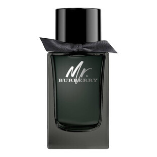 Burberry Mr.Burberry Apă de Parfum, 100ml