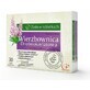 Herbs in tablets Small-flowered willow 30 tablets