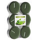 Bispol Calientamaxis con sabor a té verde, 6 unidades